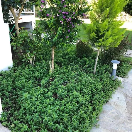 Beyaz ıskele Hotel&restaurant 5*