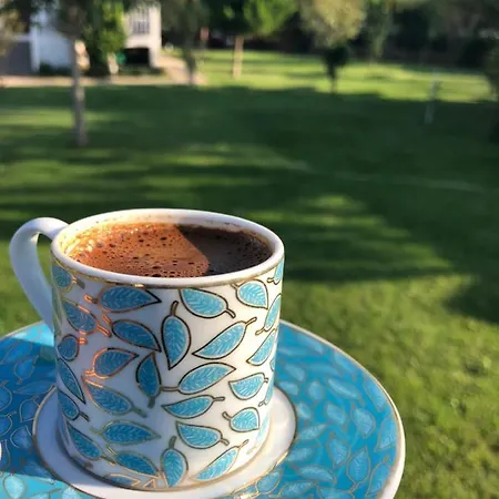 Ξενοδοχείο Beyaz Iskele & Restaurant Σελιμιγιέ