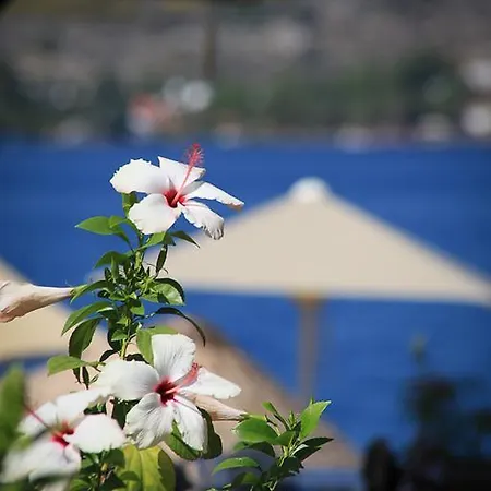 Beyaz Iskele & Restaurant Ξενοδοχείο